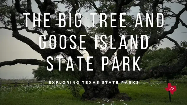 Visiting Goose Island State Park and the Historic Big Tree